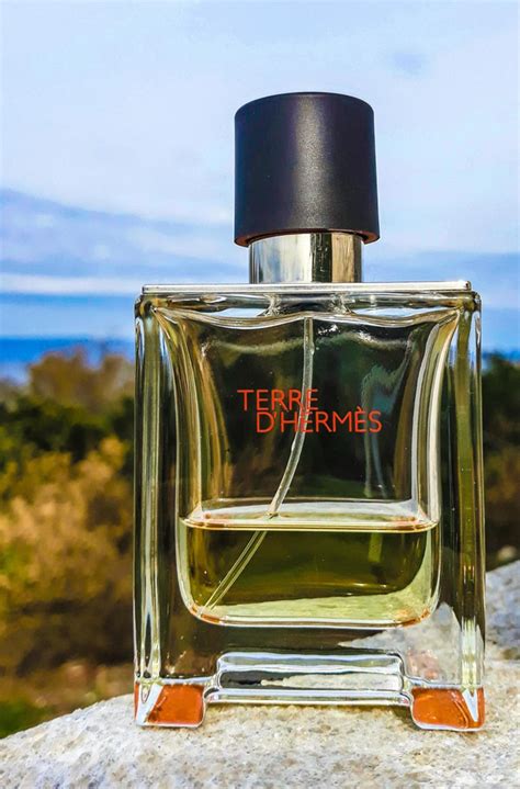 terre d hermes vs prada l homme|Signature / work scent (alternative to Prada l'homme).